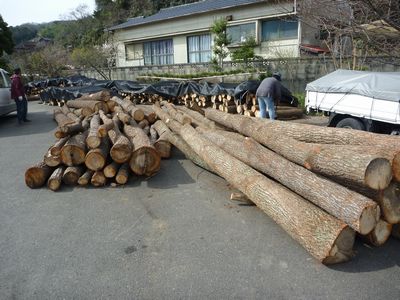クヌギの原木 「あるよ」 | 九州 大分県 薪ストーブ 販売 施工 管理 フエゴ